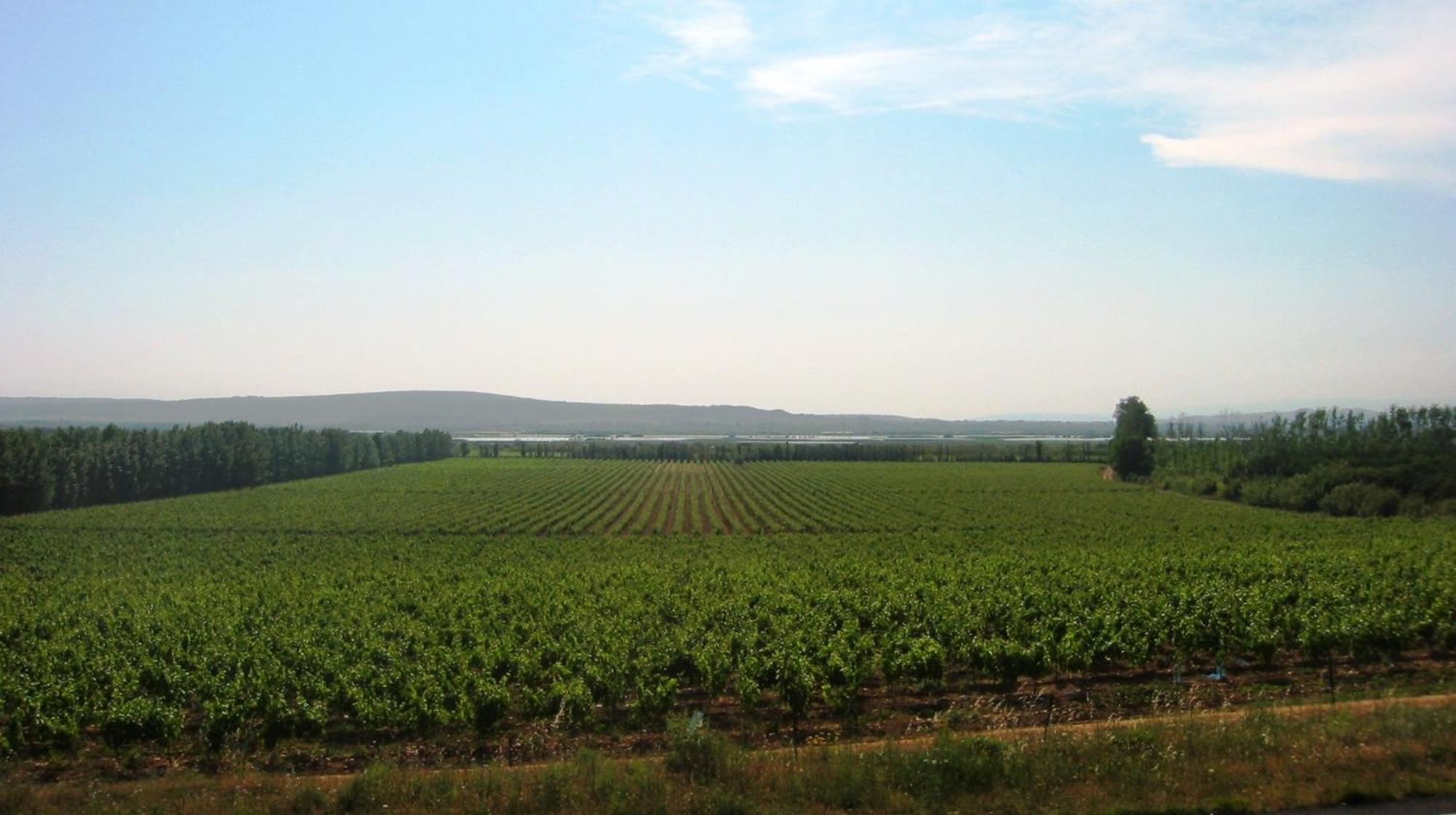 Domaine La Yole Wine Resort Vendres Zewnętrze zdjęcie